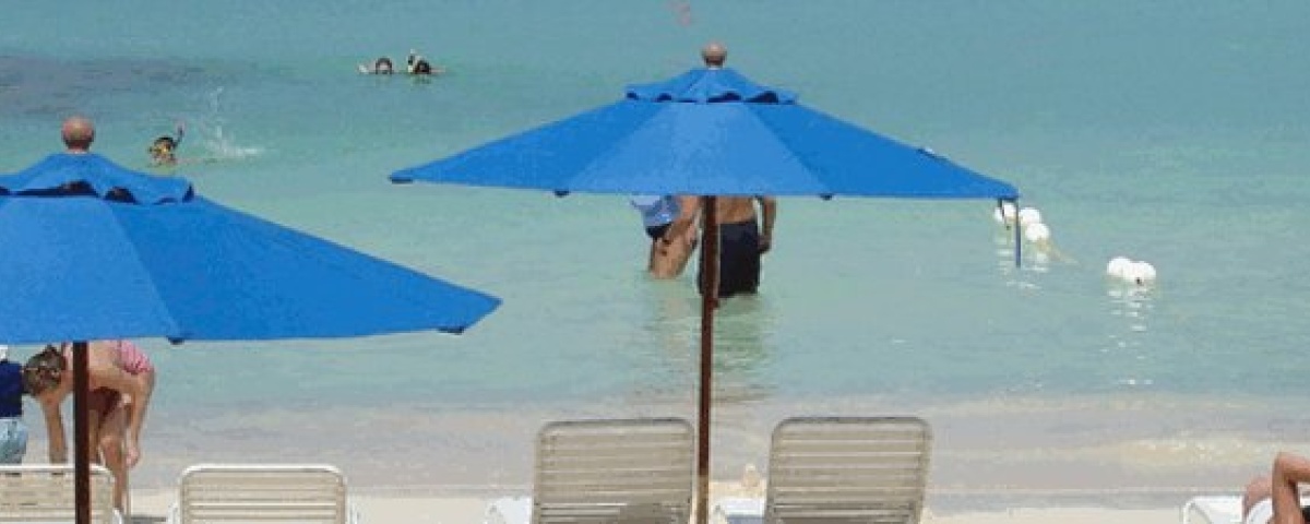 Heavy Duty Market Umbrellas at the beach - Blue